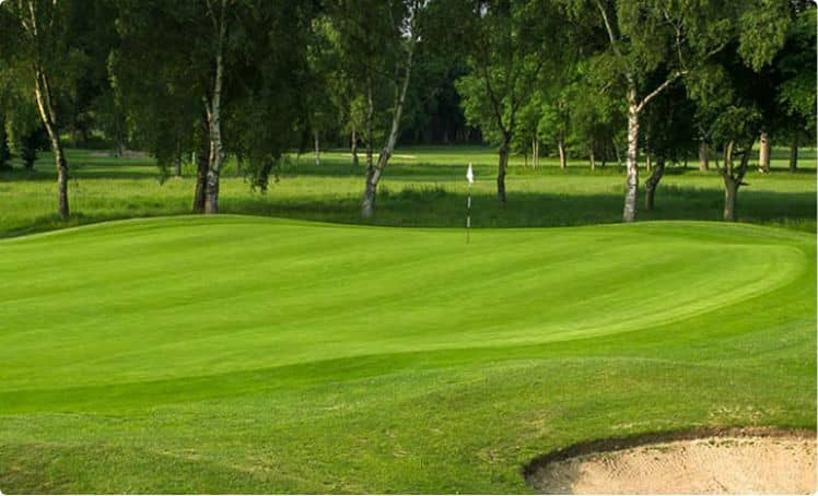 Golf course in Surrey surrounded by trees, perfect for golf days in Surrey