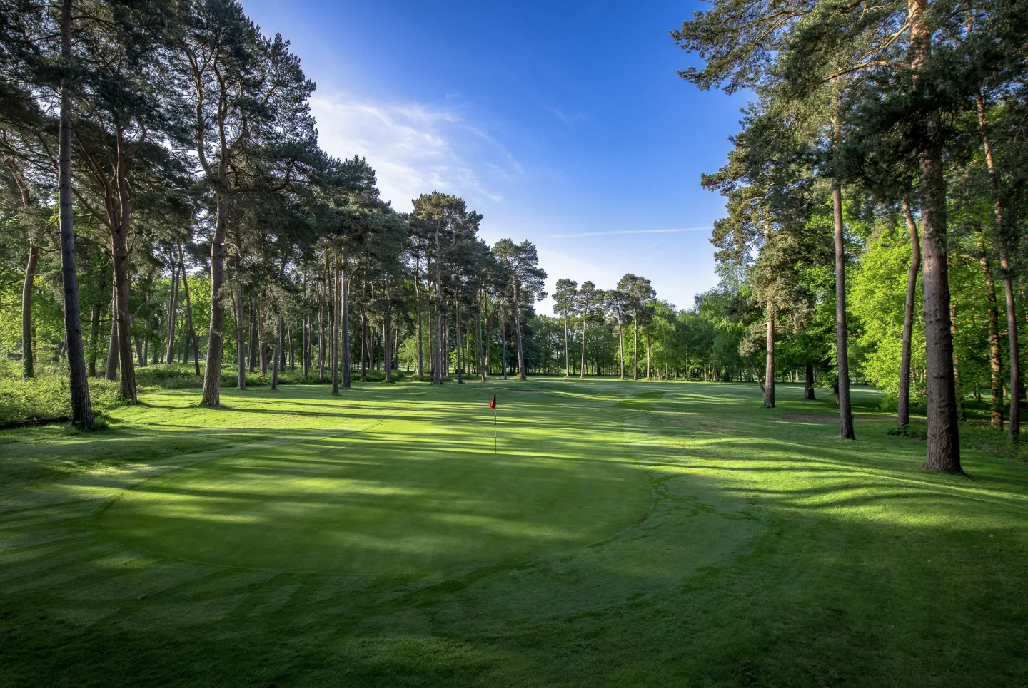 Golf hole in Surrey with a tree-lined fairway, providing a scenic and shaded setting for golf days in Surrey and golf lessons in Surrey