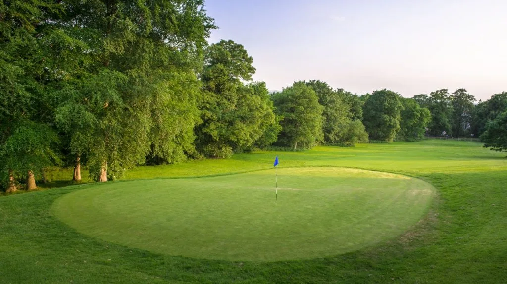 Short course green with neatly trimmed grass and surrounding trees, ideal for beginner golf in Woking