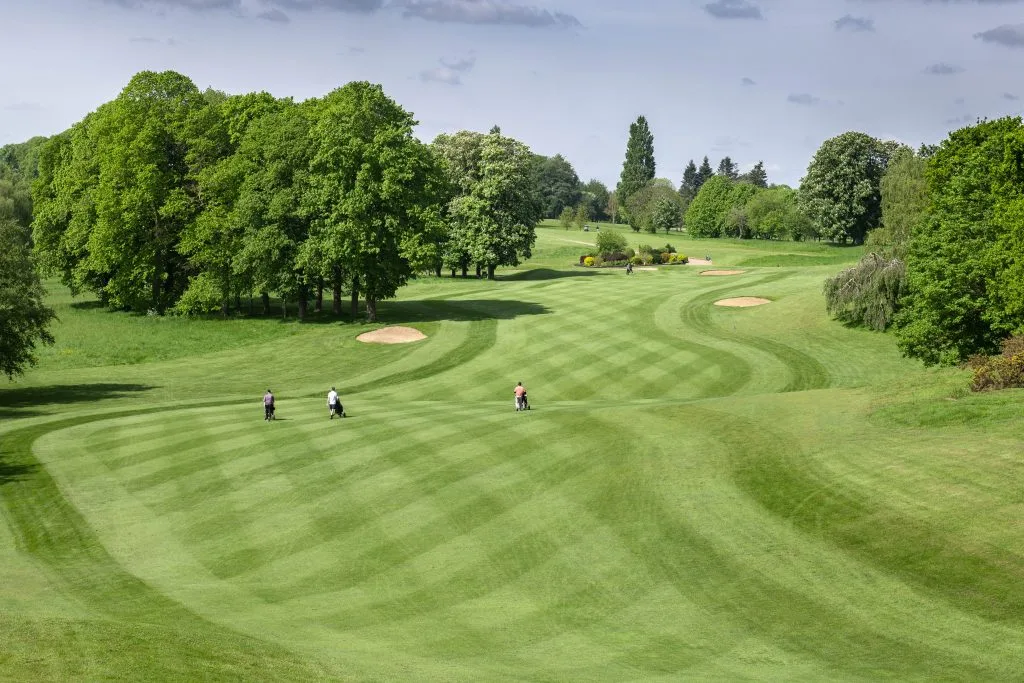 Golfers walking towards the hole on a beautifully maintained fairway with visible cut lines at a golf course in Surrey